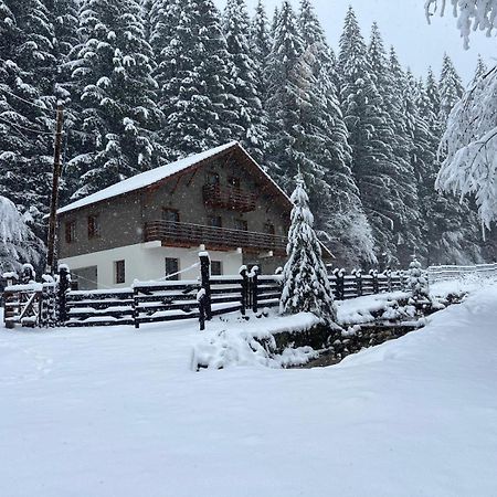 Chiba Chalet Timisu de Jos Exteriör bild