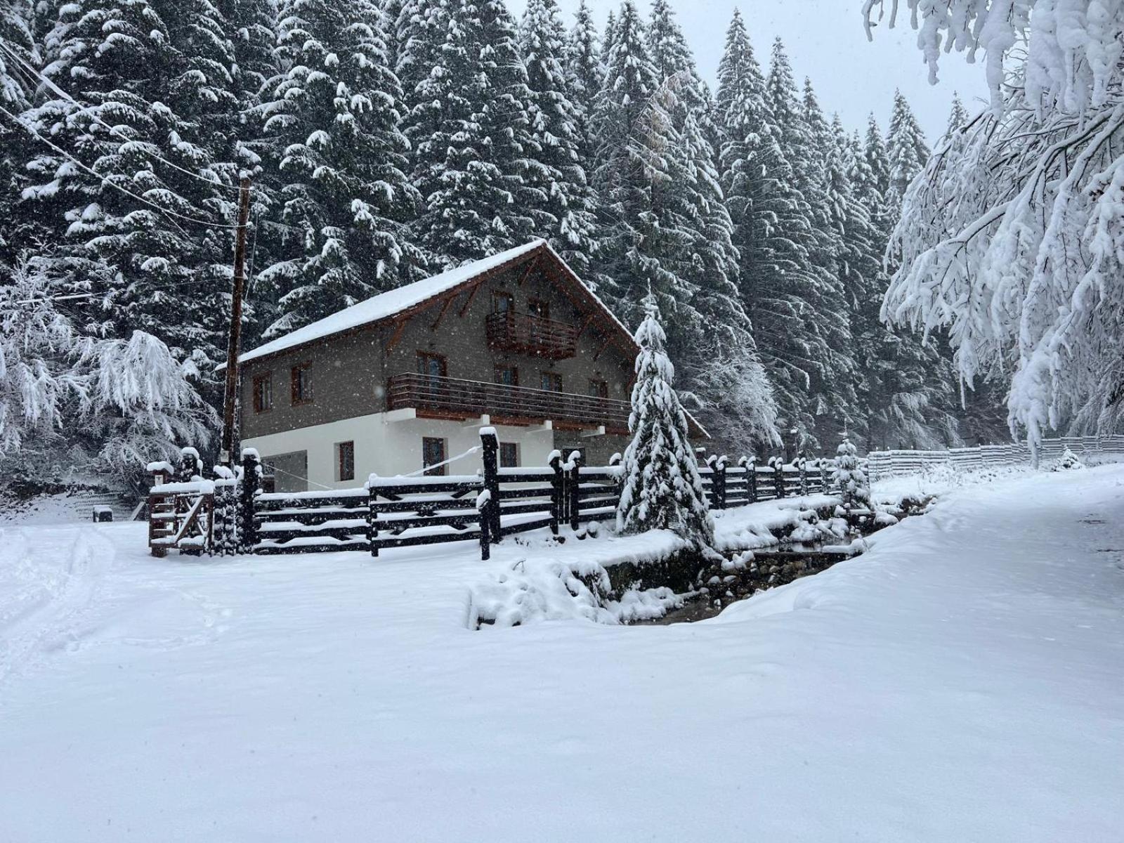 Chiba Chalet Timisu de Jos Exteriör bild
