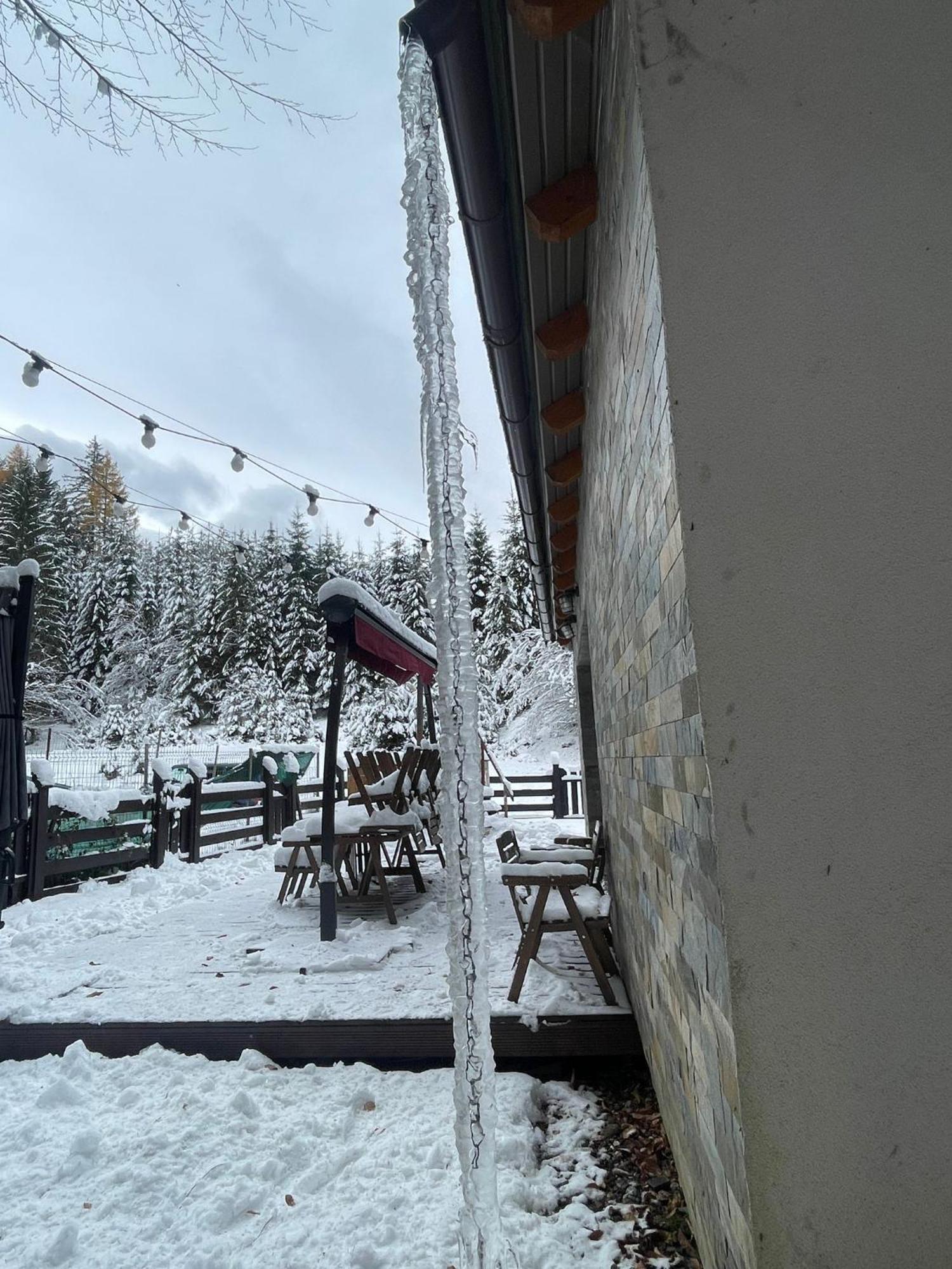 Chiba Chalet Timisu de Jos Exteriör bild