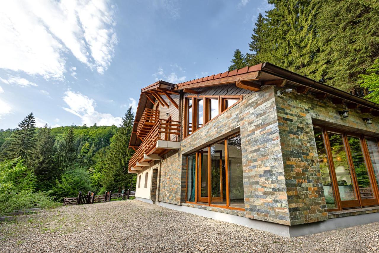 Chiba Chalet Timisu de Jos Exteriör bild