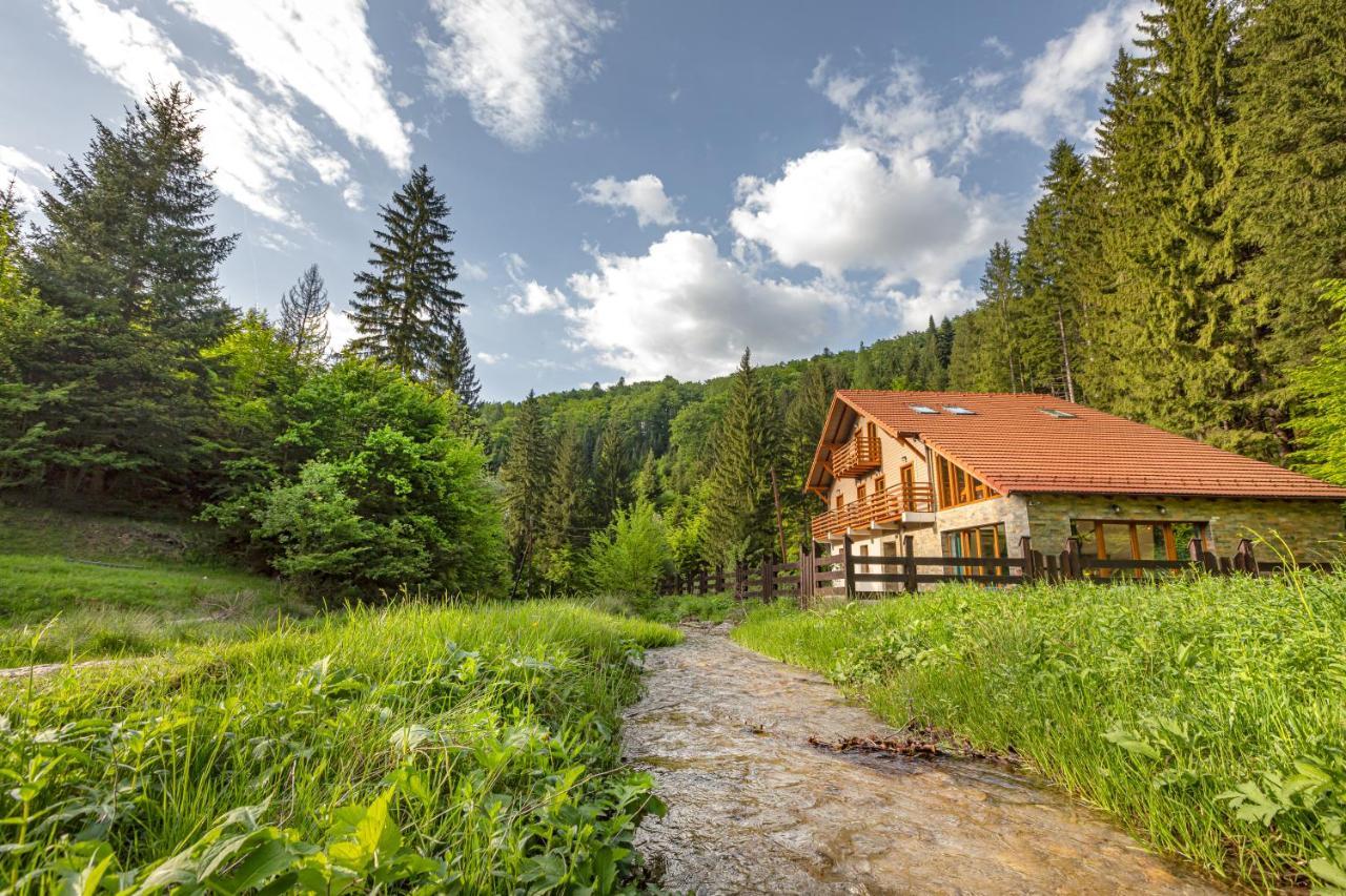 Chiba Chalet Timisu de Jos Exteriör bild